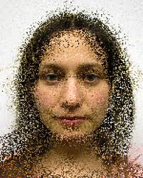 CSCPixelationPortrait6.jpg