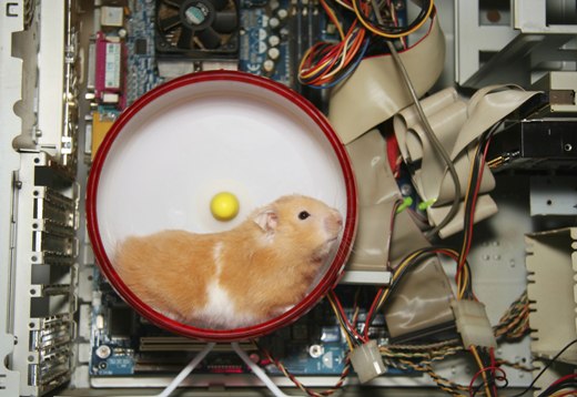 HamsterInsideComputer.jpg