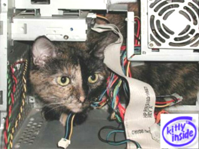 CatInsideComputer2.jpg