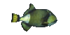 Fish22r.gif