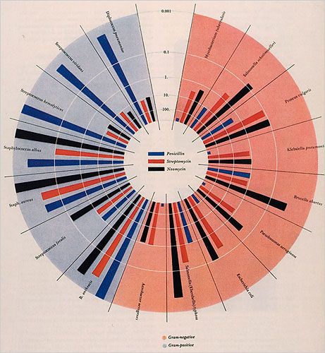 Heller-1.jpg