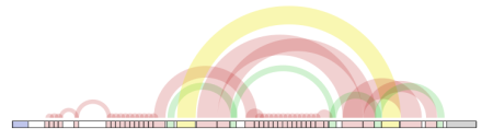 Displaying internal repeats