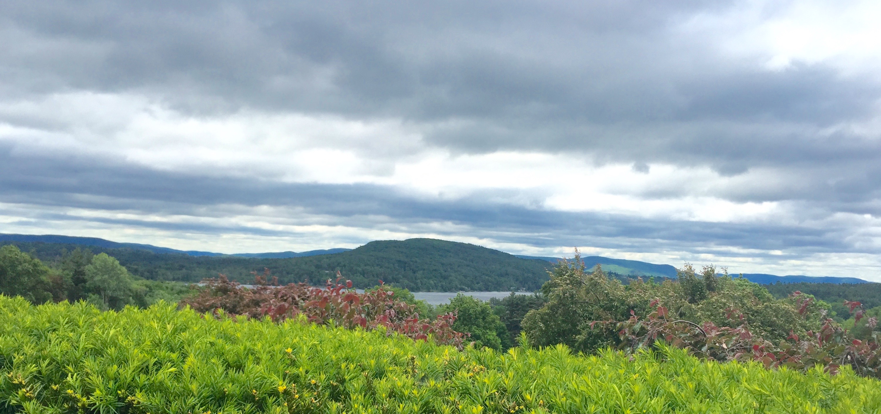 ViewFromKripalu.jpg