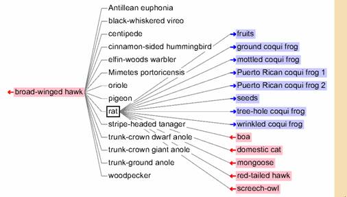 GraphSpanningTreeBrowser.jpg