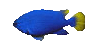 Fish19.gif