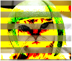 StripedCat.png