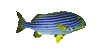 Fish7r.gif