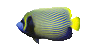 Fish17.gif