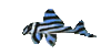 Fish4.gif