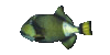 Fish22.gif