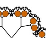 OrangeOverBranchesInFractalTree.png