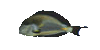 Fish1r.gif