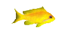 Fish8.gif