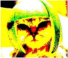 YellowCat.png