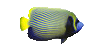 Fish17r.gif