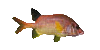 Fish18.gif