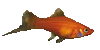 Fish23.gif