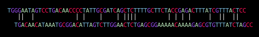 DNA Align2.png