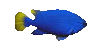 Fish19r.gif