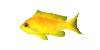 Fish8r.gif