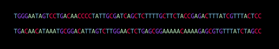 DNA Align1.png