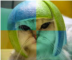 QuadrantCat.png